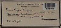 Image Associated With the Occurence